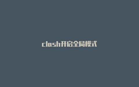 clash开启全局模式